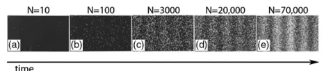 FIG. 1.Buildup of an electron interference pattern. Singleelectrons are initially detected at seemingly random places, yetan interference pattern is still observed after detecting manyelectrons [36]