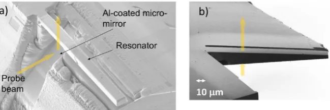 Figure 2. In (a) we show the resonator etched on the sides, but not liberated from below