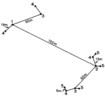 FIG. 4. Spatial Configuration of a Set of Sampling Points from One Center in the Nested Survey 