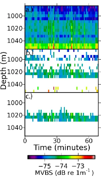 Figure 3 – Phantom Sound Scattering Layer (SSL) extracted from FV Austral Leader II 