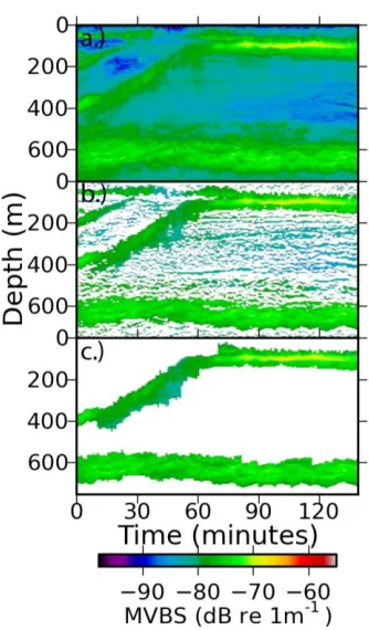Figure 4 - Processed acoustic image, from FV Austral Leader II transect during May 