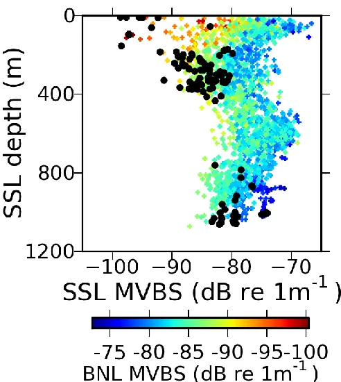 Figure 7 – Background Noise Level (BNL) for Sound Scattering Layers (SSLs) extracted 
