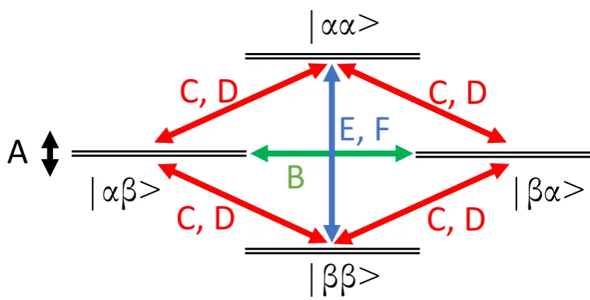 Figure 2.2.1 Energy level diagram of two spin ½ with dipolar coupling.  Each level is split according to the A term of the dipolar alphabet (Equation 2.2.10) and each of the other terms can lead to manipulation of the spin system as indicated by the arrows