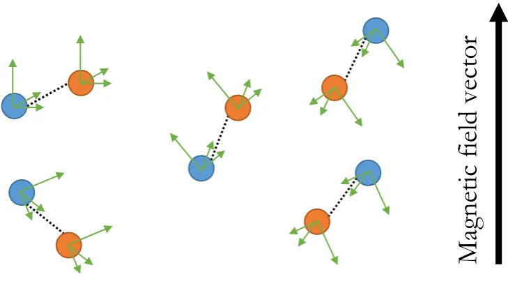 Figure 2.6.3 Cartoon of a glassy matrix of spin pairs. 