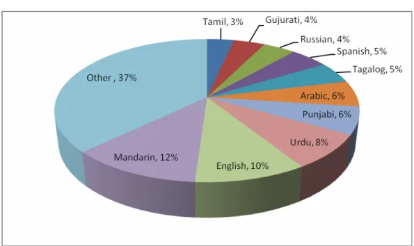 Figure 5: % of Landings by Native Language (MCI, 2007) 