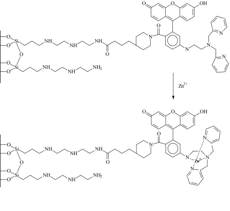 Figure 1.3 Representation of complex formation of glass cover slips zinc film sensor in presence of zinc ions 