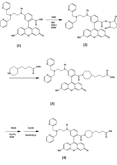 Figure 3.1 Representation of synthesis of carboxyl modified ZnAF2 