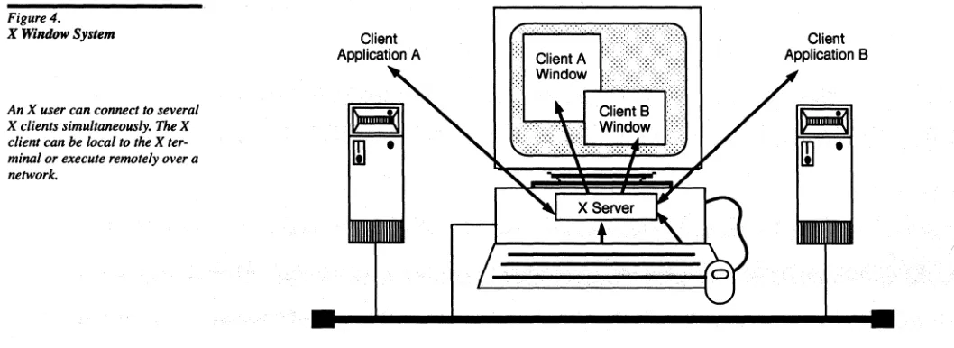 Figure 4. X Window 