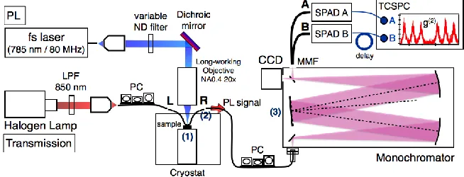 Fig. 3. Fiber-coupled optical measurement setup. PL: Photoluminescence, LPF: long-pass filter, PC: polarization controller, ND: neutral-density, CCD: charge coupled device, MMF: multi-mode fiber, SPAD: single-photon avalanche diode, TCSPC: time-correlated 