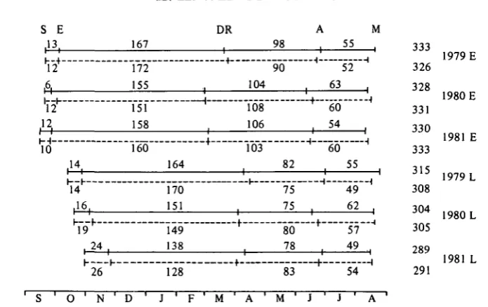 Fig. 4. Diagram showing the timing of phenological development stages for observed ( ) and simulated( ) wheat crops