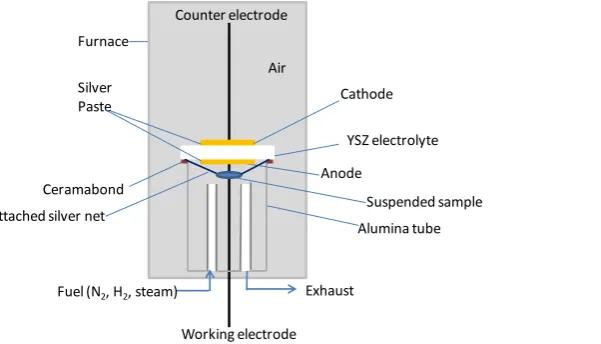 Figure 1 Schematic of simulated fuel cell operation atmosphere for reduction of metallic catalysts   
