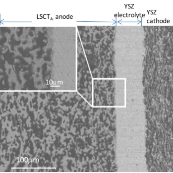 Figure 2 Back-scattered electron (BSE) image of the cross section of the cell after reduction, showing the anode to the left and the cathode to the right of the dense YSZ electrolyte