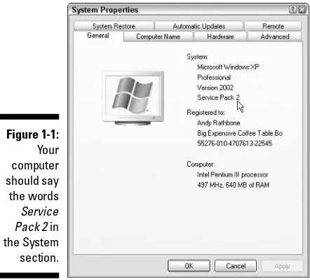 Figure 1-1:Your