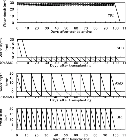 Figure 2. Water management irrigation technique.