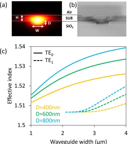 Figure 1c shows the effective indices of the fundamental and the second order TE modes for different etch depths and waveguide widths