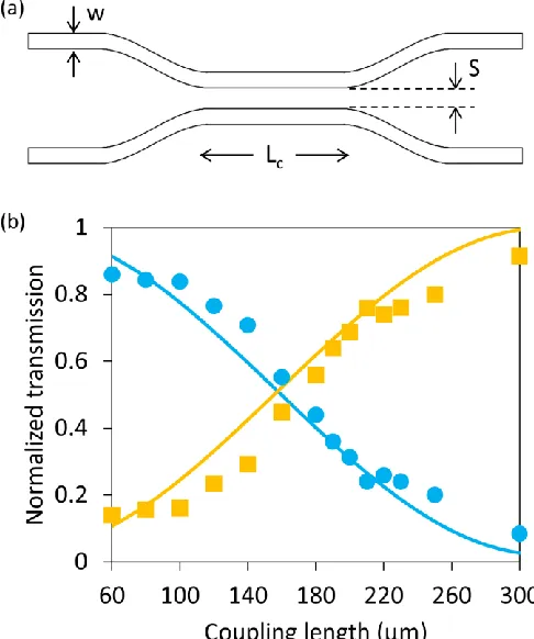 Fig. 4. (a) Schematic diagram of the directional coupler. The values of different dimensions are given in the text