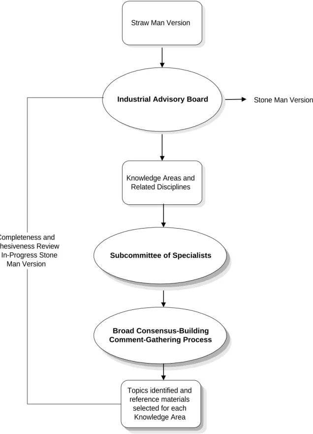 Figure 2  Proposed Strategy for Developing the Stone Man VersionStraw Man Version