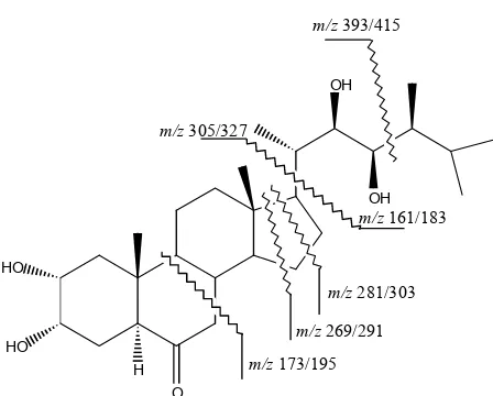 Figure 4. Structure of Castasterone and major mass fragmenta- tions. 