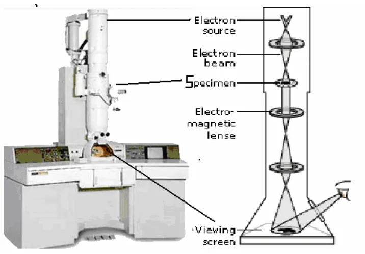 Fig. 2.9 Transmission Electron Microscope 