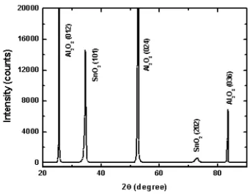 Fig. 3.3  XRD diffraction pattern of Cr0.2Sn0.8O2 film. 