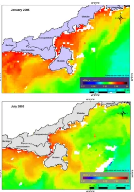 Figure A1. Satellite image of Chlorophyll a. January and July 2005. 
