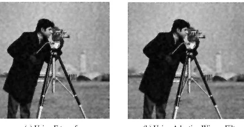Fig. 4  The image with 10% noise  