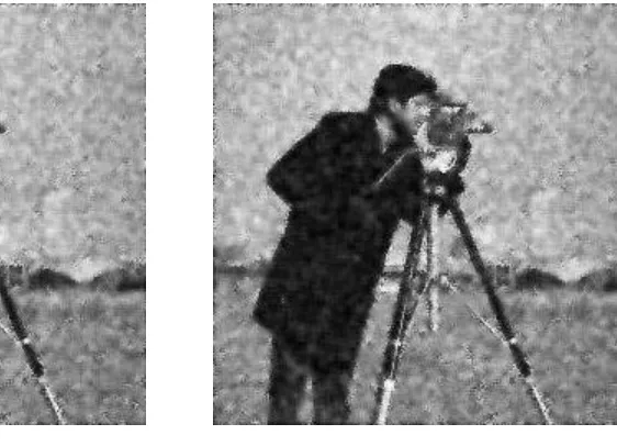 Fig. 6  The image with 20% noise 