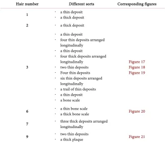 Figure 17 Figure 18 