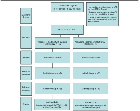 Fig. 1 THERAFAMBEST provisional flowchart