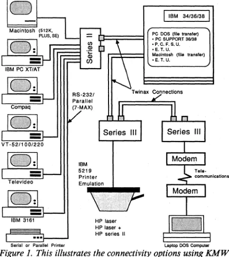 Figure 1. This illustrates the connectivity options using Twinax protocol converters. 