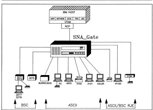 Figure 1. SNLGate operating as a PU.T2 cluster controller provides a gateway to the IBM environment for a variety of devices using asynchronous ASCII and BSC protocols