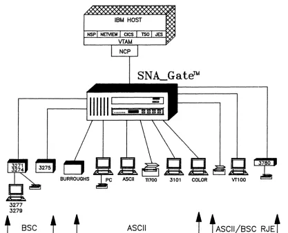 Figure 1. The SNA_Gate operating as a PU. T2 cluster controller using asynchronous ASCIl and BSC protocols