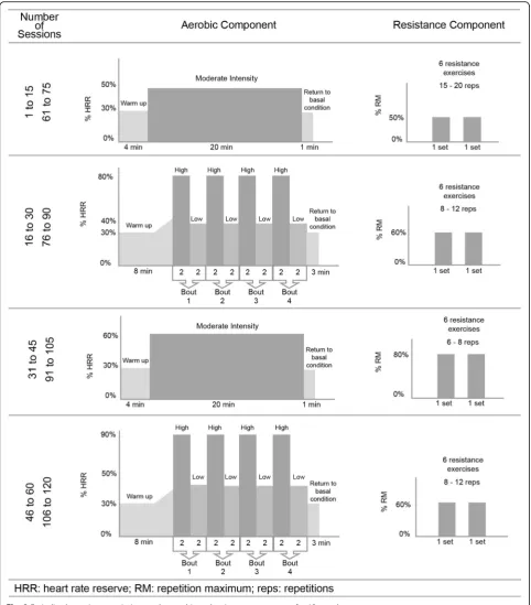 Fig. 2 Periodized exercise prescription on the aerobic and resistance component for 12 months