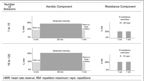 Fig. 3 Non-periodized exercise prescription on the aerobic and resistance component for 12 months