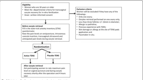 Fig. 1 Trial design. The flow chart summarises the design of the trial