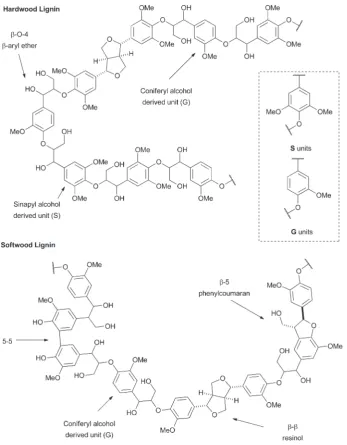 Fig. 1Structural representations of sections of hardwood and softwood lignins showing the most abundant units (S/G) and linkages found in each.The known relative stereochemistry of the β–β and β-5 linkages is shown