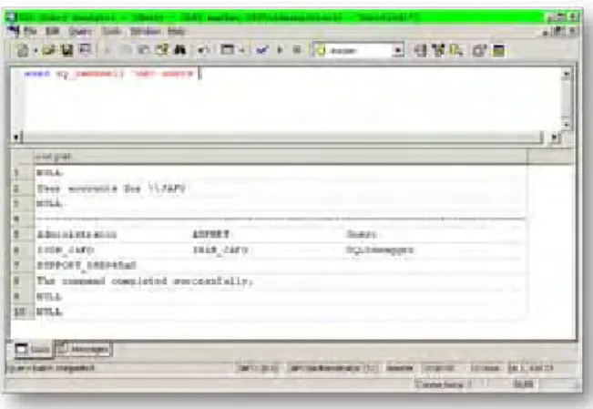 Figure 1. xp_cmdshell command execution.