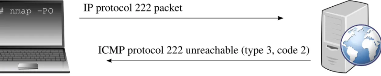 Figure 2.17: IP protocol ping of unsupported protocol 222 (ICMP protocol unreachable)