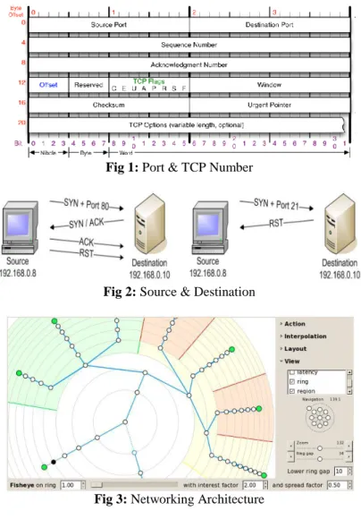 Fig 1: Port &amp; TCP Number 