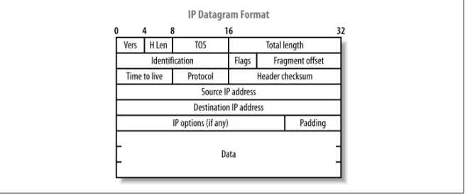 Figure 4-15. The source routing IP option and flags