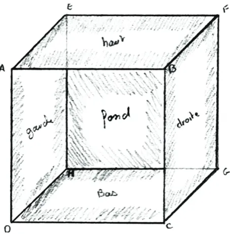 Figure 1. Display of the Grand Illusion “Disappearance”: simple cube 