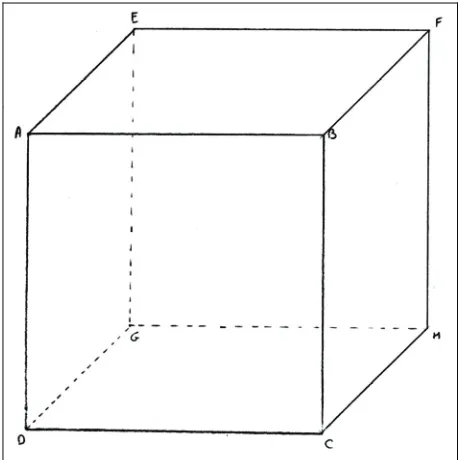 Figure 2. Display of the Grand Illusion “Disappearance”: simple cube with the mirror  