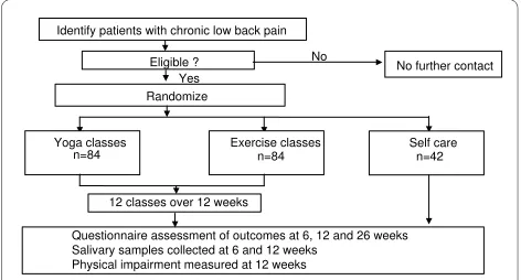 Figure 2 Participant-focused flow chart.