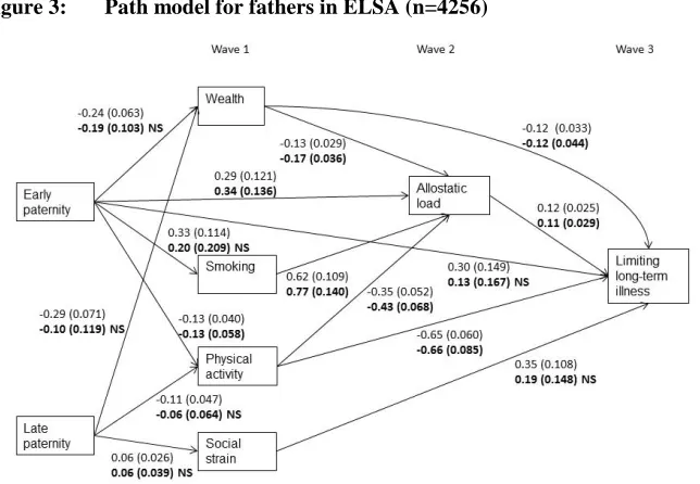 Figure 3: Path model for fathers in ELSA (n=4256) 