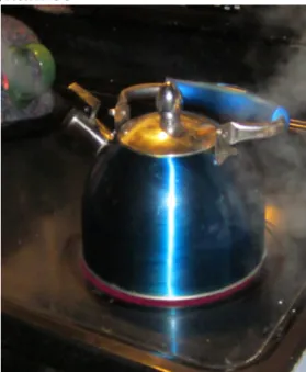 Figure 15.2 This boiling tea kettle represents energy in motion. The water in the kettle is turning to water vapor because heat is being transferred from the stove to the kettle.