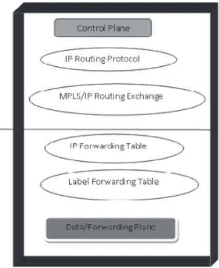 Figure 2. MPLS Architecture.