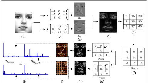 Fig. 1 a Source image.and negative decimal coded image.e b Horizontal and vertical Sobel masks