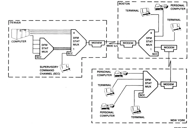 Figure 1-9 Multiple DFM 