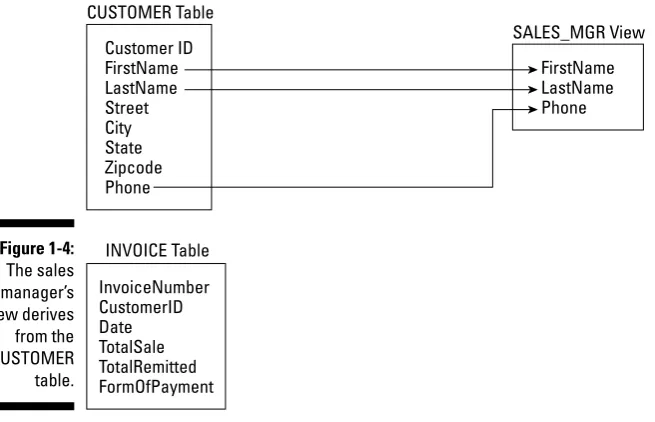 Figure 1-4:The sales