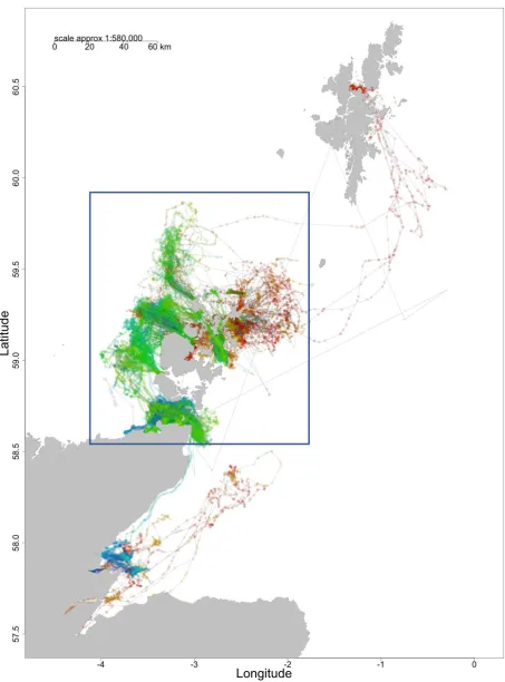 Figure 1.  Tracks from 41 harbour seal tags: 19 ARGOS and 22 GPS.  Each ARGOS track is coloured from red to orange (beginning to end) and each GPS from blue to green, to show the progression of each animal